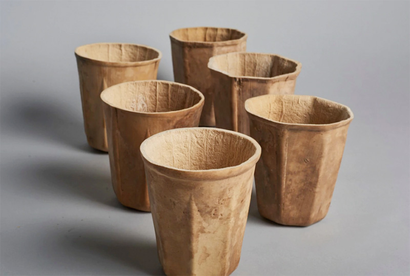 natural grown biodegradable coffee cup